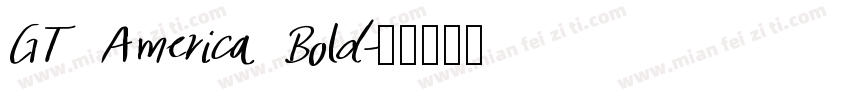 GT America Bold字体转换